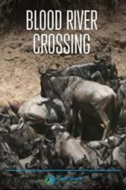 Blood River Crossing 2013 on netflix