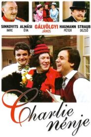 Charley nénje 1986 on netflix