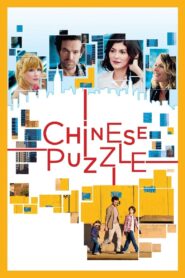 Chinese Puzzle 2013 on netflix