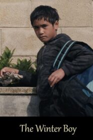 The Winter Boy 2010 on netflix