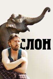 Elephant 2010 on netflix