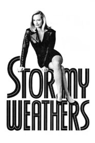 Stormy Weathers 1992 on netflix