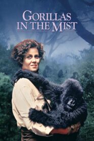 Gorillas in the Mist 1988 on netflix