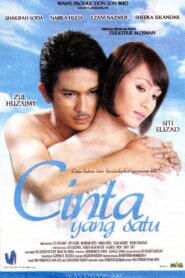 Cinta Yang Satu 2007 on netflix