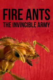 Fire Ants 3D: The Invincible Army 2012 on netflix