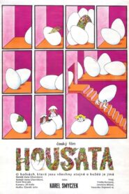 Housata 1980 on netflix