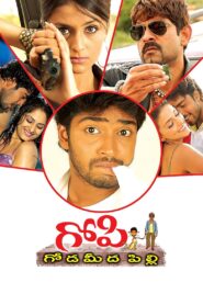 Gopi Goda Meeda Pilli 2006 on netflix