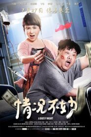 A Busy Night 2016 on netflix