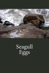 Seagull Eggs 2008 on netflix