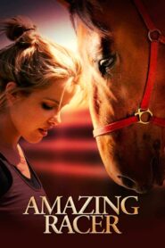 Amazing Racer 2009 on netflix
