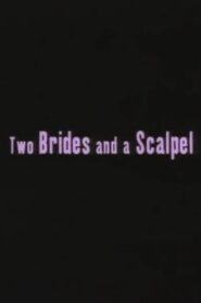 Two Brides and a Scalpel: Diary of a Lesbian Marriage 2000 on netflix