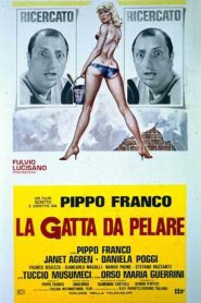 La gatta da pelare 1981 on netflix