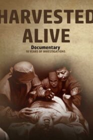 Harvested Alive 2016 on netflix