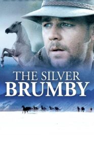 The Silver Brumby 1993 on netflix
