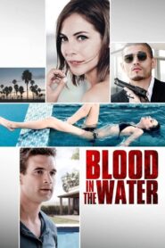 Blood in the Water 2016 on netflix