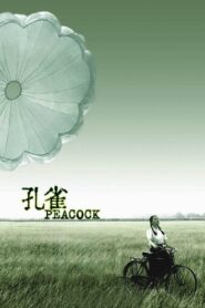 Peacock 2005 on netflix