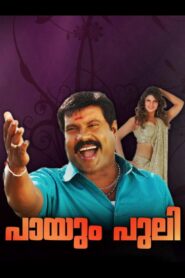 Payum Puli 2007 on netflix