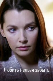 Don’t Forget Love 2013 on netflix