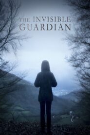The Invisible Guardian 2017 on netflix
