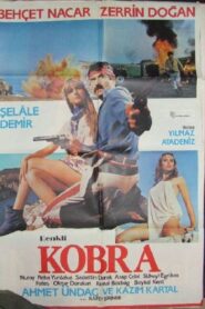Kobra 1983 on netflix