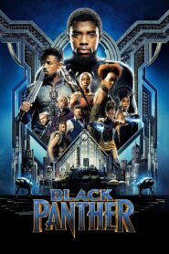Black Panther 2018 on netflix