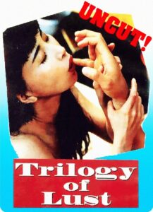 血恋 1995 on netflix