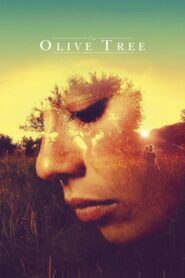 The Olive Tree 2016 on netflix