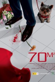 70m2 2010 on netflix