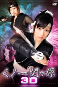 Kunoichi Sekigahara 3D 2010 on netflix