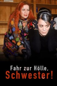 Beloved Sister 2002 on netflix
