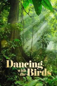 Dancing with the Birds 2019 on netflix