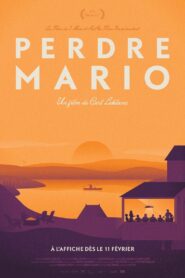 Perdre Mario 2022 on netflix