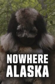 Nowhere Alaska 2020 on netflix