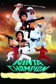 Ninja Champion 1986 on netflix