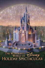 The Wonderful World of Disney: Holiday Spectacular 2024 on netflix