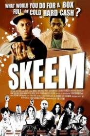 Skeem 2011 on netflix