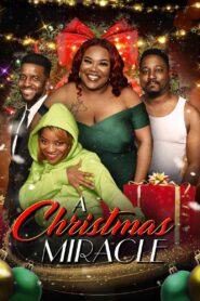 A Christmas Miracle 2023 on netflix