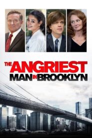 The Angriest Man in Brooklyn 2014 on netflix