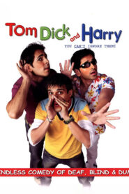 Tom, Dick And Harry 2006 on netflix