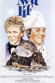 New Life 1983 on netflix