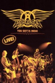 Aerosmith – You Gotta Move 2004 on netflix