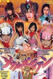 Beautiful Soldier Soul Guardian 2005 on netflix