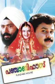Punjabi House 1998 on netflix