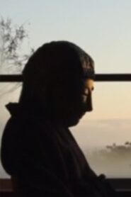 Silent Visitors 2012 on netflix