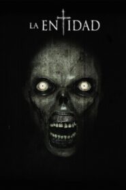 The Entity 2015 on netflix