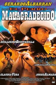 The Ungrateful Bitch 2003 on netflix