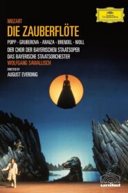 The Magic Flute 1983 on netflix