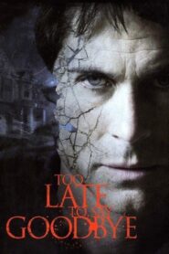 Too Late to Say Goodbye 2009 on netflix