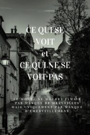 Ce qui se voit et ce qui ne se voit pas 2024 on netflix