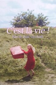 C’est la vie ! 1981 on netflix
